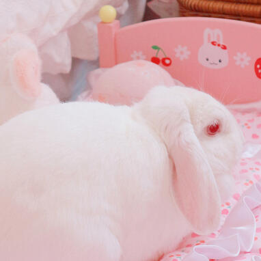 ♥ ♥