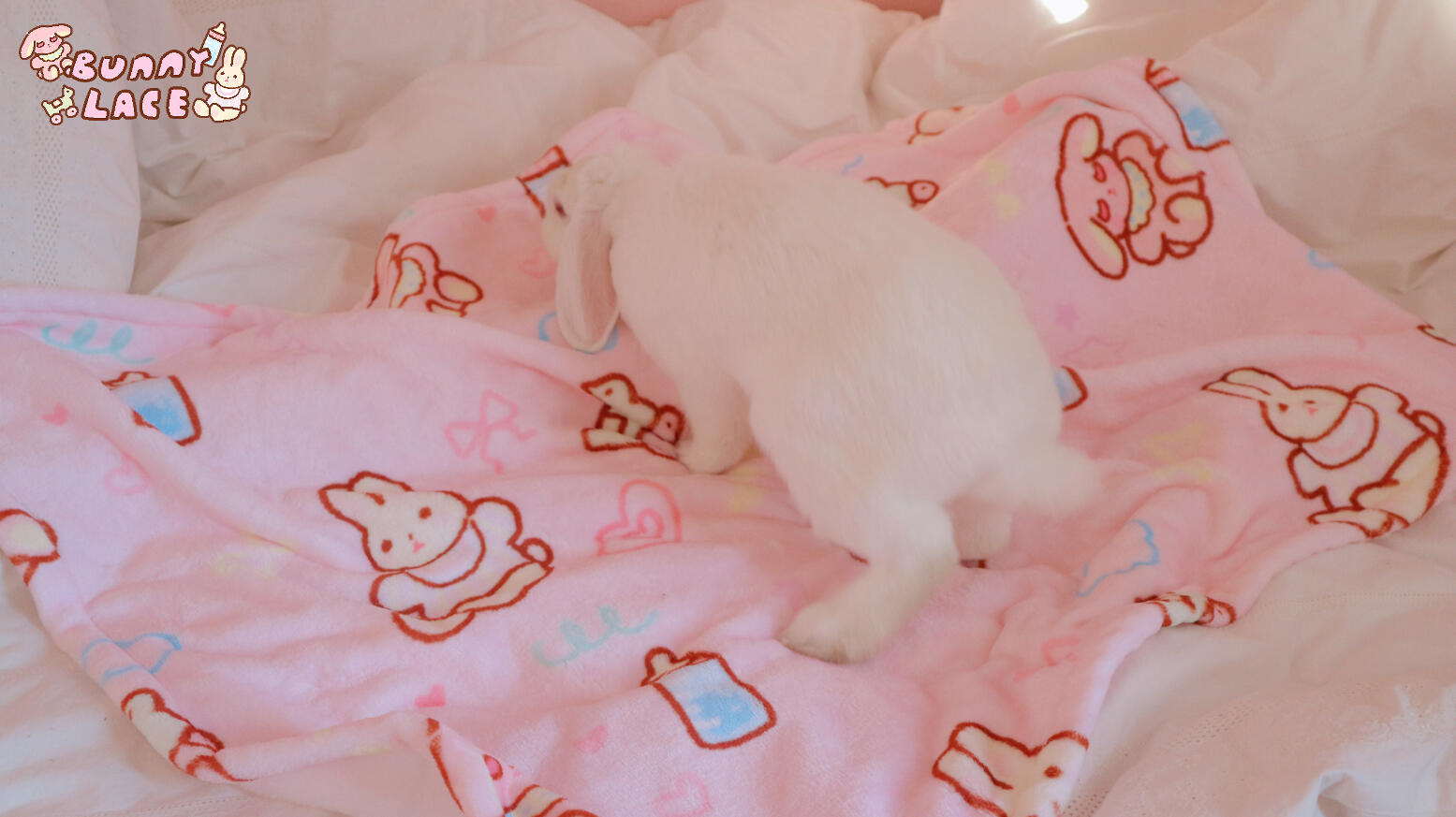 ♥ ♥