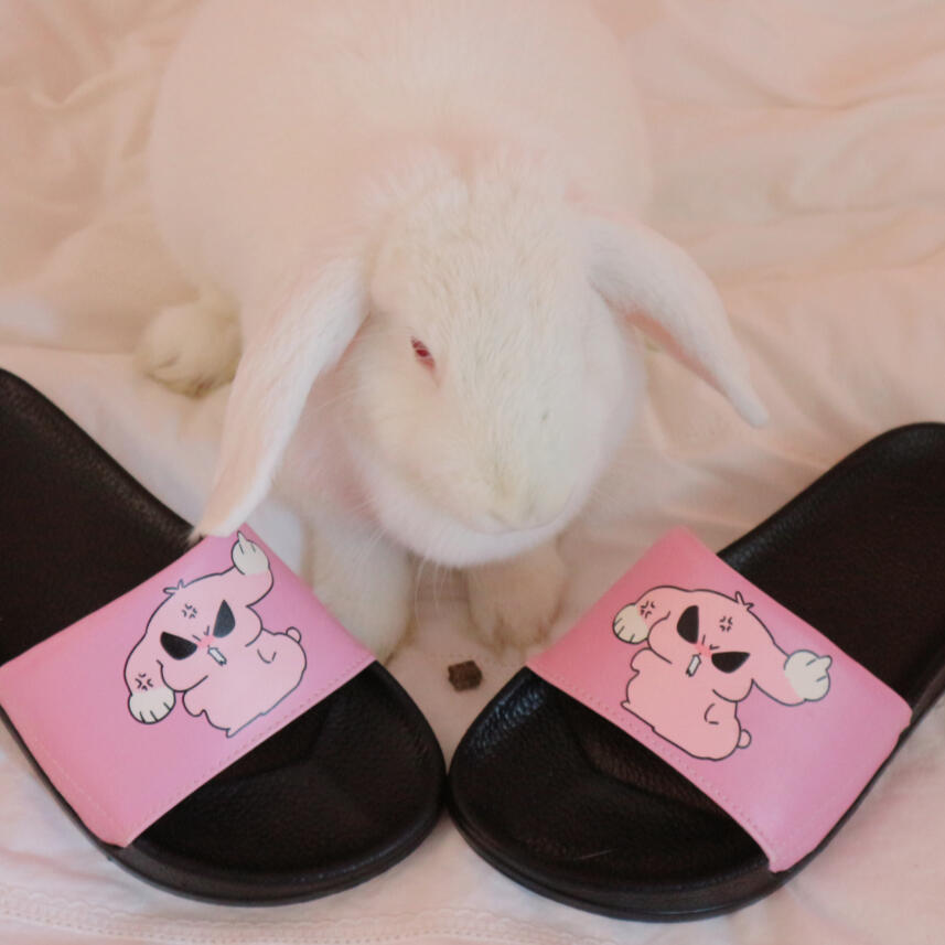 ♥ ♥