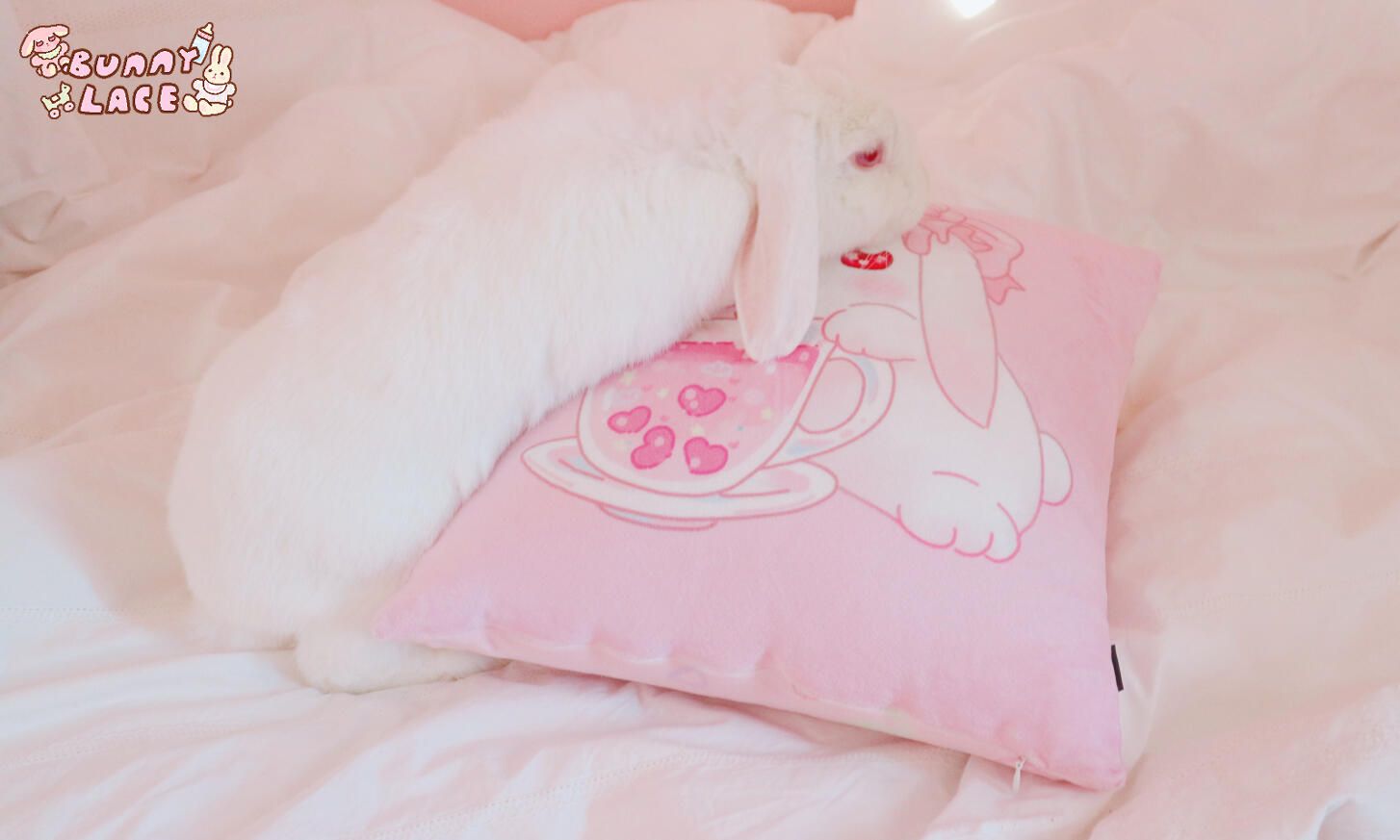 ♥ ♥